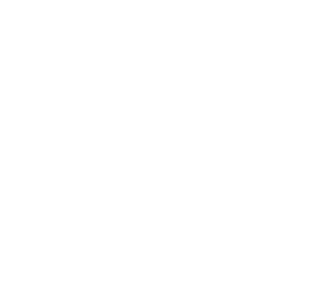 OutSpeed