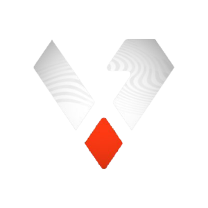 Team Veloz