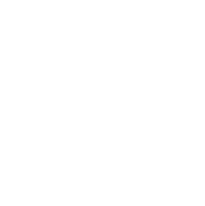 TSM Shimmer