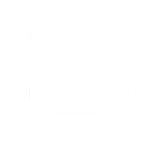 Team's logo