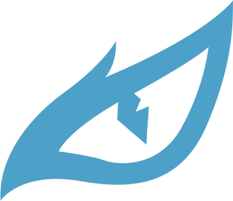 Team's logo