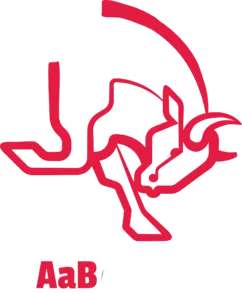 Team's logo
