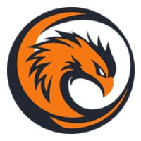 Team's logo