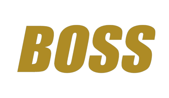 Team's logo
