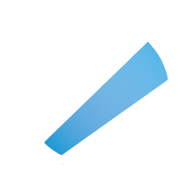 Team's logo