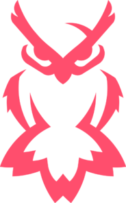 Team's logo
