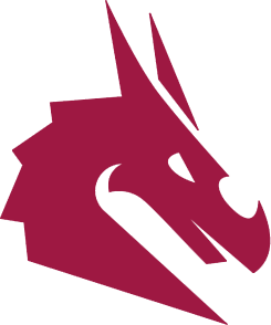 Team's logo