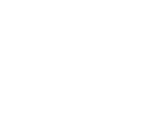 Voca