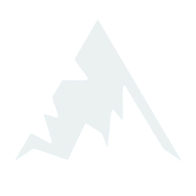 Arctic Ace